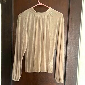 Zara Semi-Sheer Beige Sparkle Top